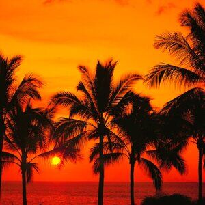 Meet your Posher, Angélica